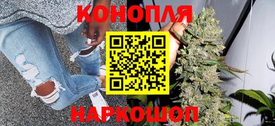 крисы Дубна