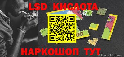 крисы Дубна