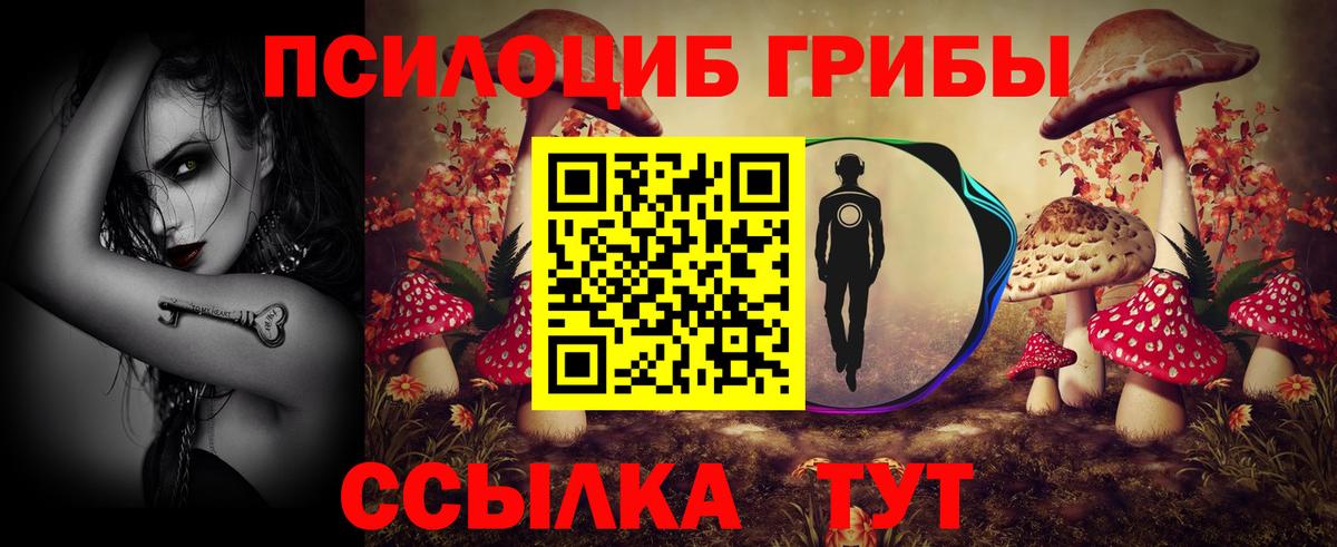 Галлюциногенные грибы Cubensis  Вход с VPN  Хасавюрт 